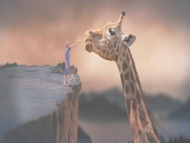 태교로 펼치는 천재 아기의 비밀