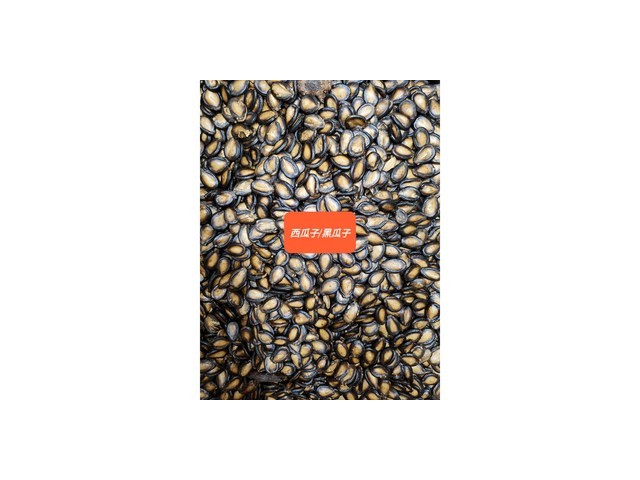 중국수박씨 추천 가성비 좋은 제품