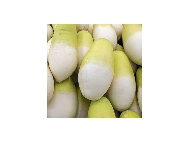 무우가격 쇼핑 꿀팁 가이드